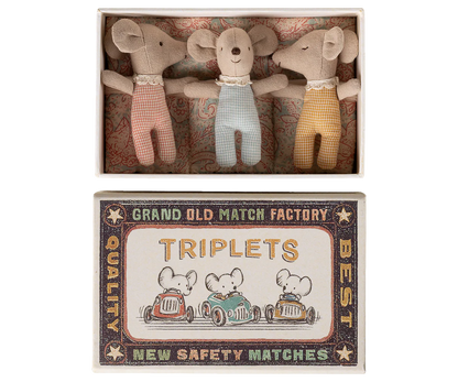 Triplets, Baby Mice in Matchbox