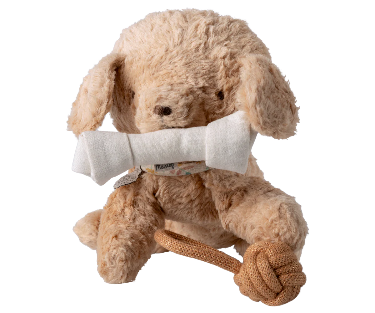 Pet Supplies Toys