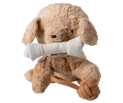 Pet Supplies Toys