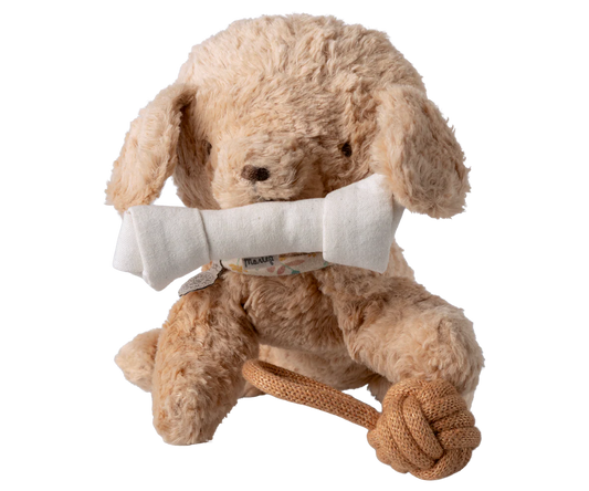 Pet Supplies Toys