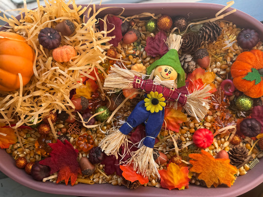 Harvest Blend Sensory Kit *LIMITED STOCK*