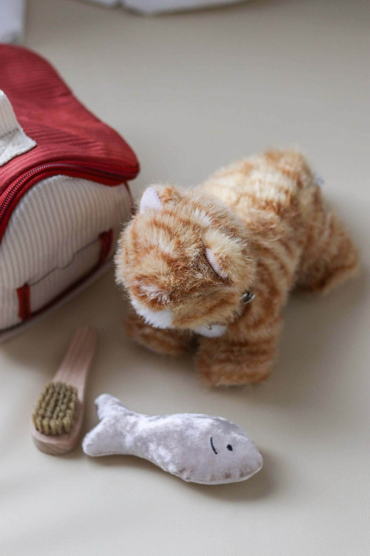 Munchkin & House (cat)