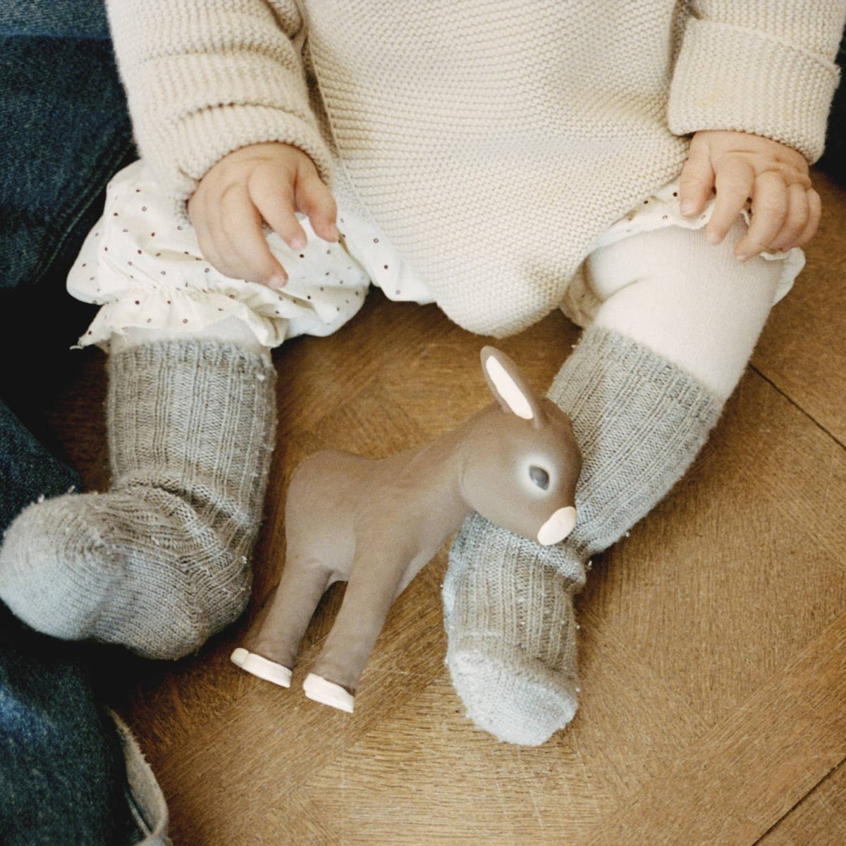 Hector The Donkey