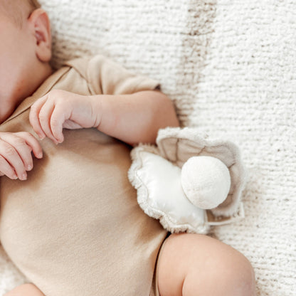 Clam and Pearl Rattle