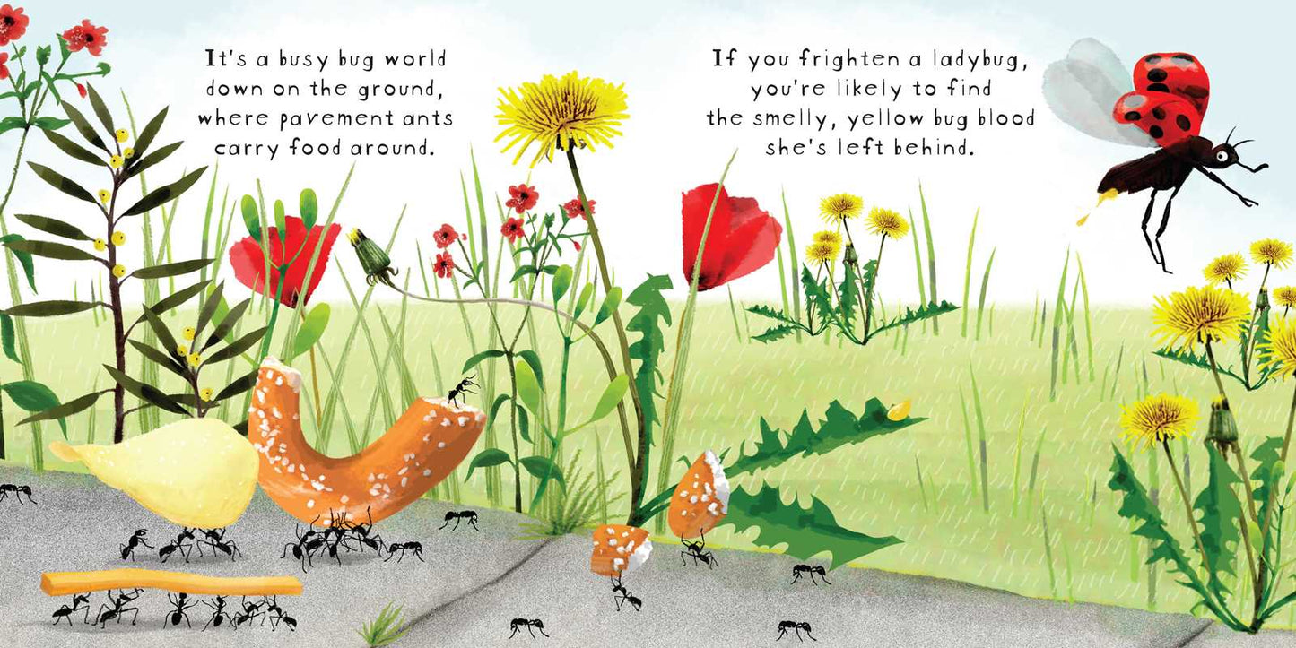 Look! Bugs! by Stephanie Calmenson
