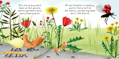 Look! Bugs! by Stephanie Calmenson
