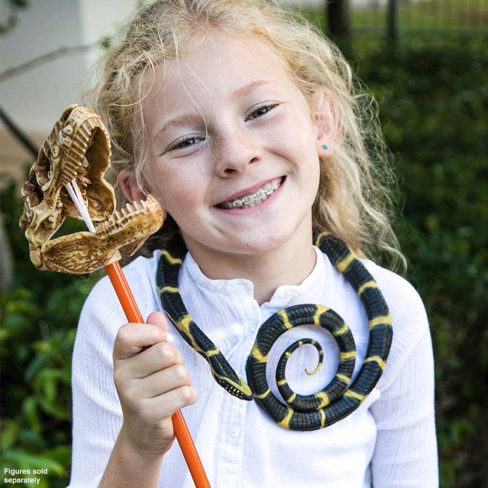 Chain Kingsnake