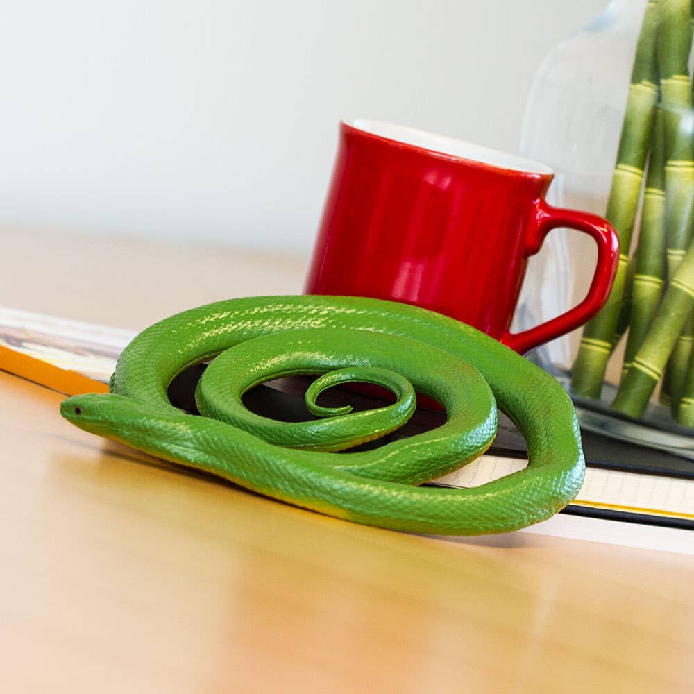 Rough Green Snake