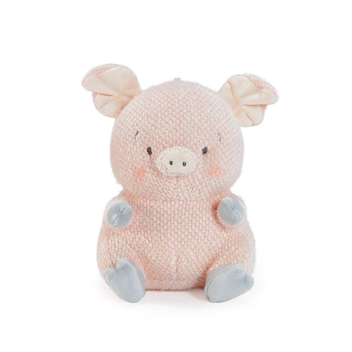 Baby Hammie the Pig