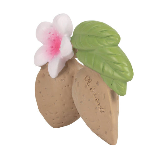 Aly the Almond