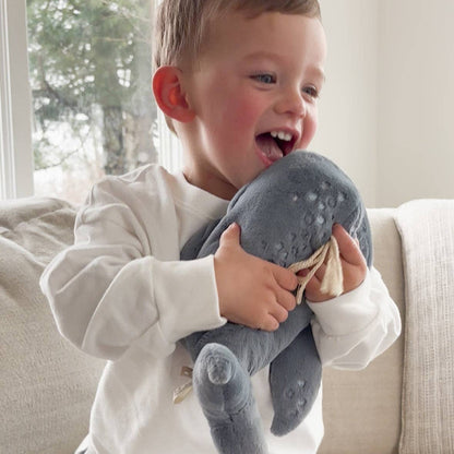 A Whale Called Wally