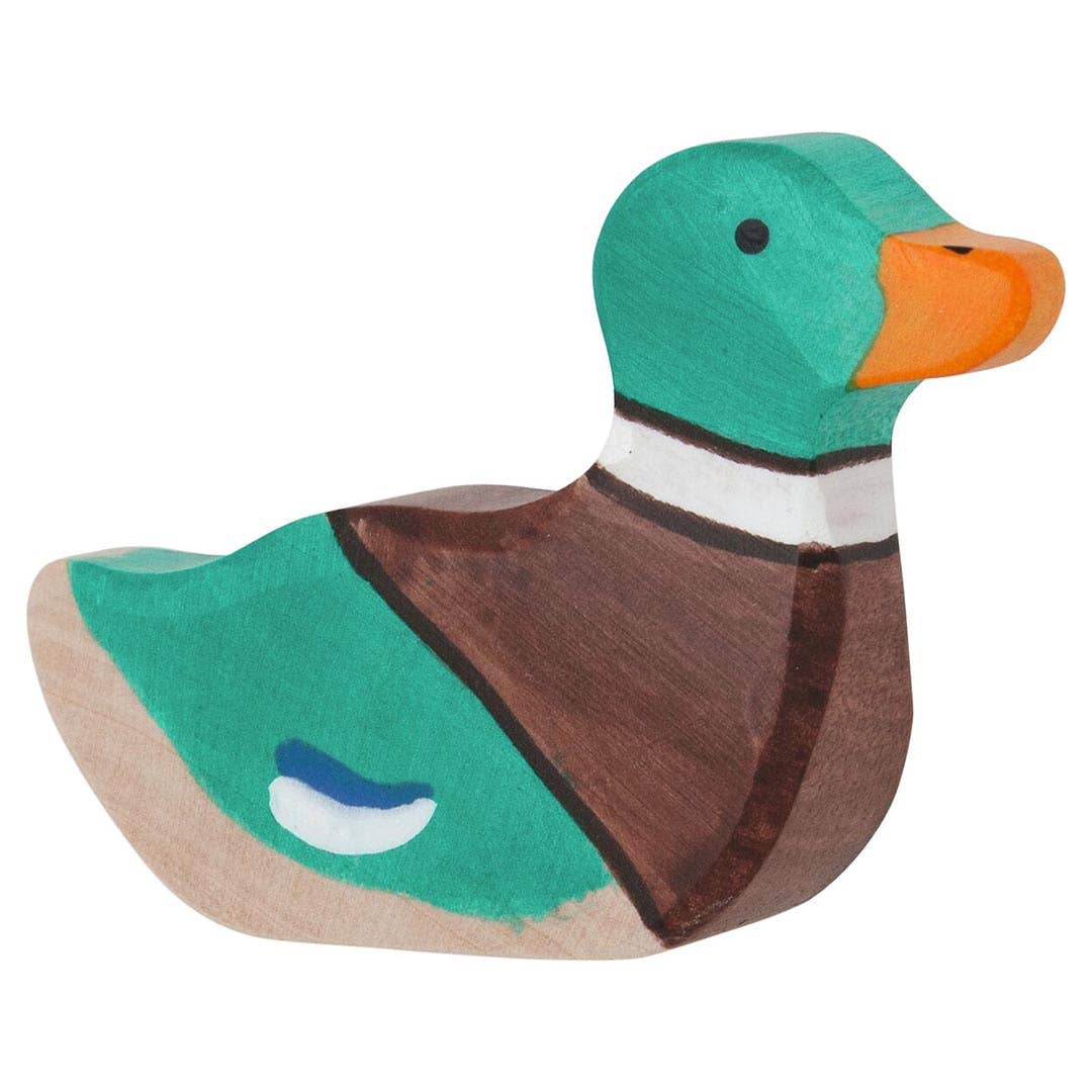 Mallard, sitting