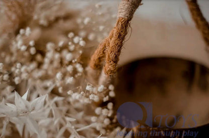 Coconut Basket