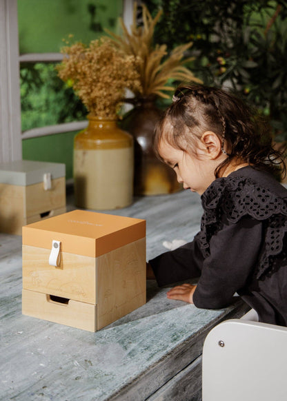 Wooden Musical Souvenir Box - Nature