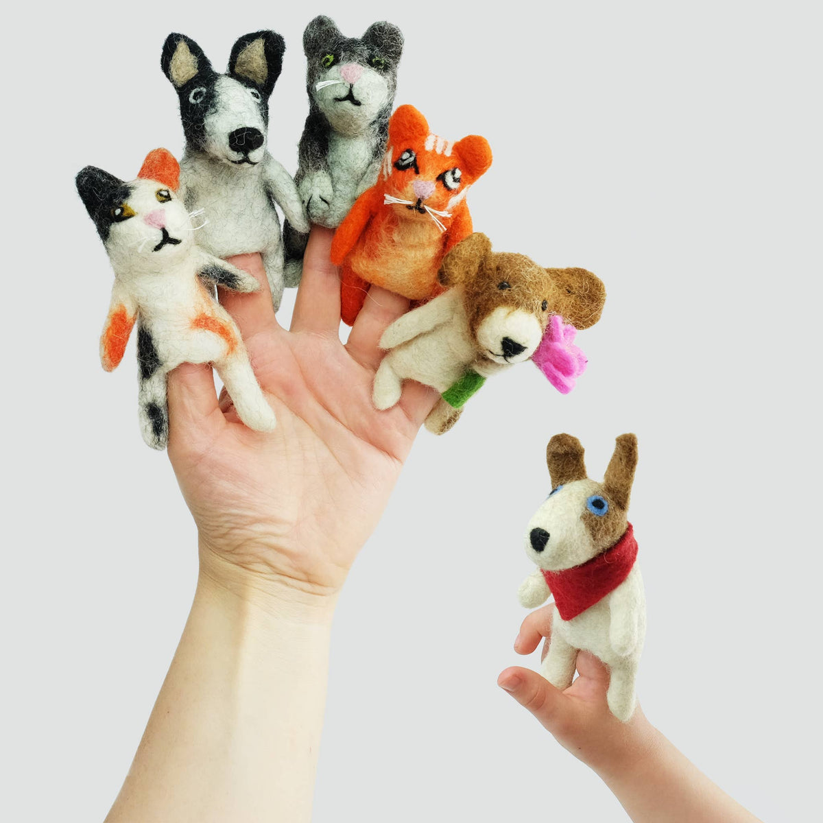 Finger Puppets - Cats and Dogs Assorted