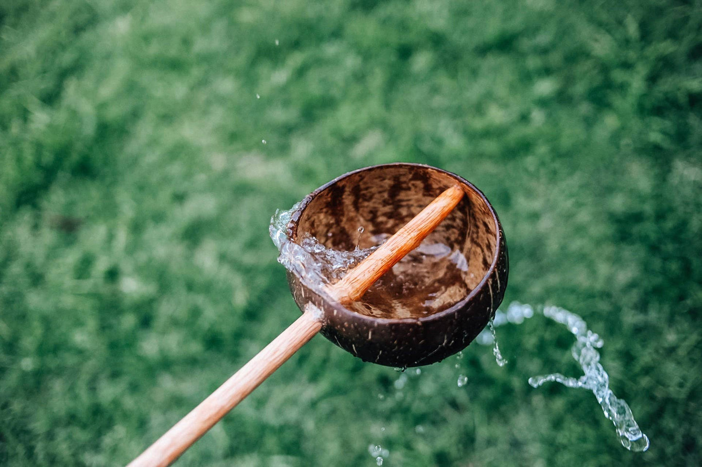 Coconut Water Scoop