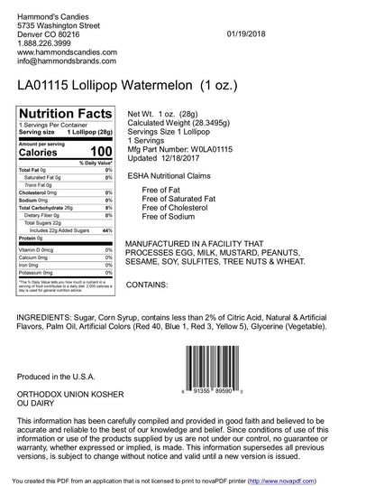 Handmade Lollipop - Watermelon