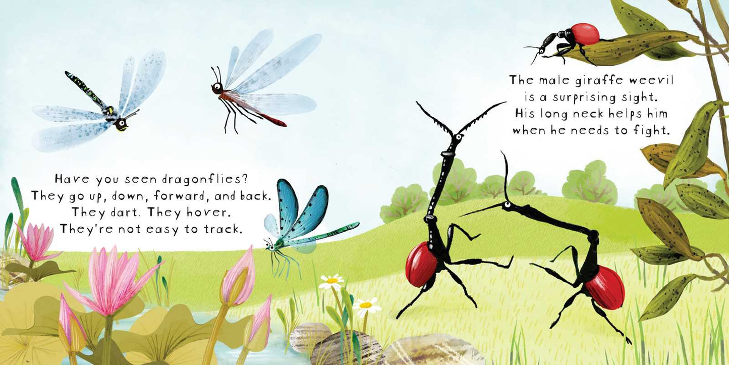 Look! Bugs! by Stephanie Calmenson