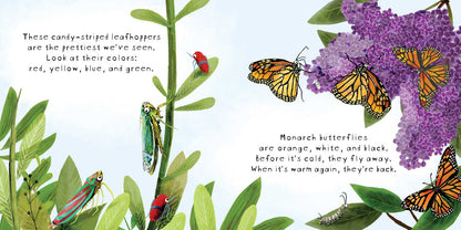 Look! Bugs! by Stephanie Calmenson