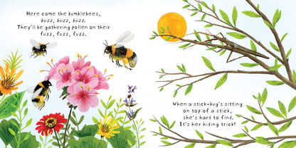 Look! Bugs! by Stephanie Calmenson