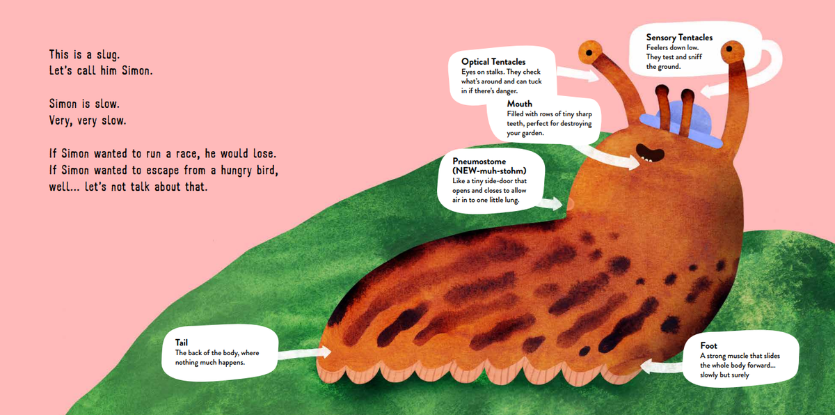 This is What a Slug Does