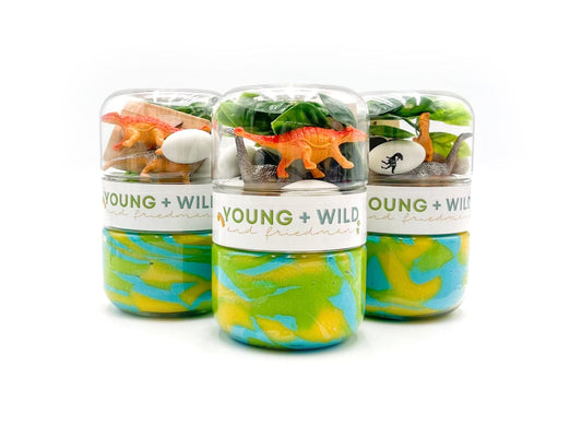 YWF Grab & Go Dough Jar - Dinosaur