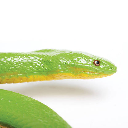 Rough Green Snake