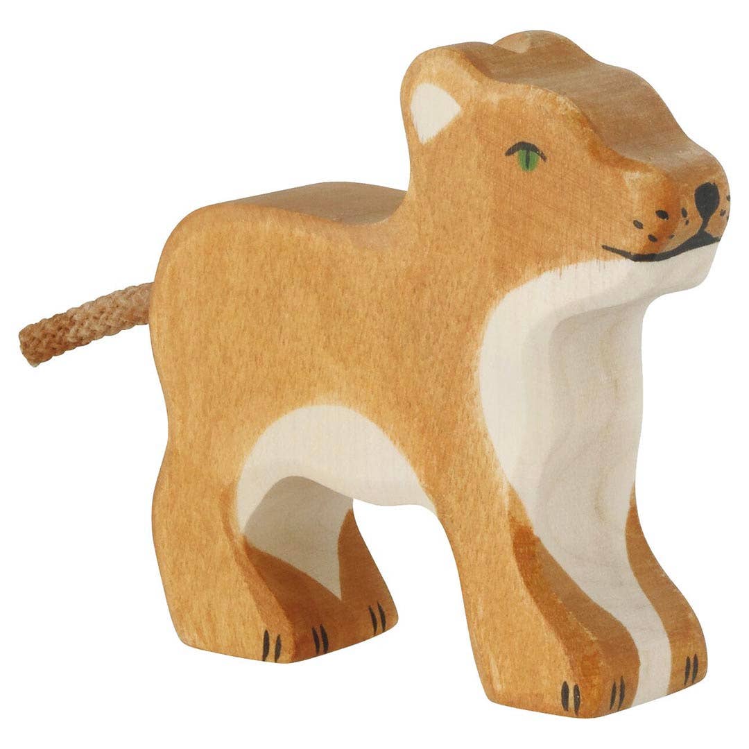 Lion, cub
