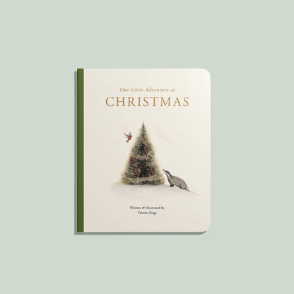 Our Little Adventure at Christmas (Baby's first Christmas)