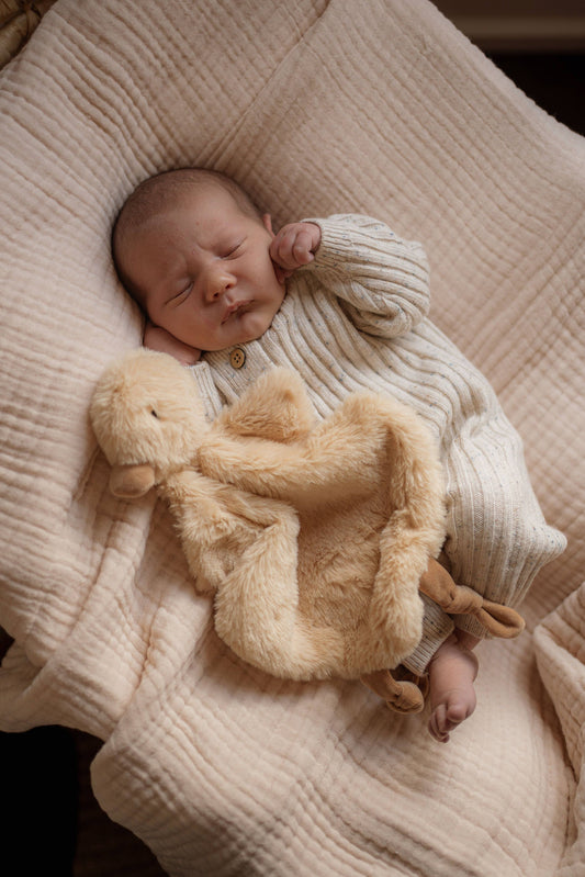 Quacks the Duck Comforter Toy