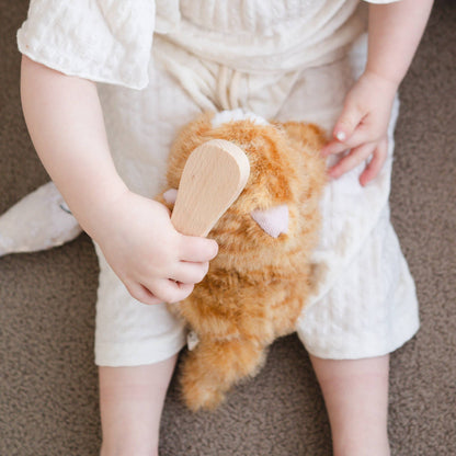 Munchkin & House (cat)