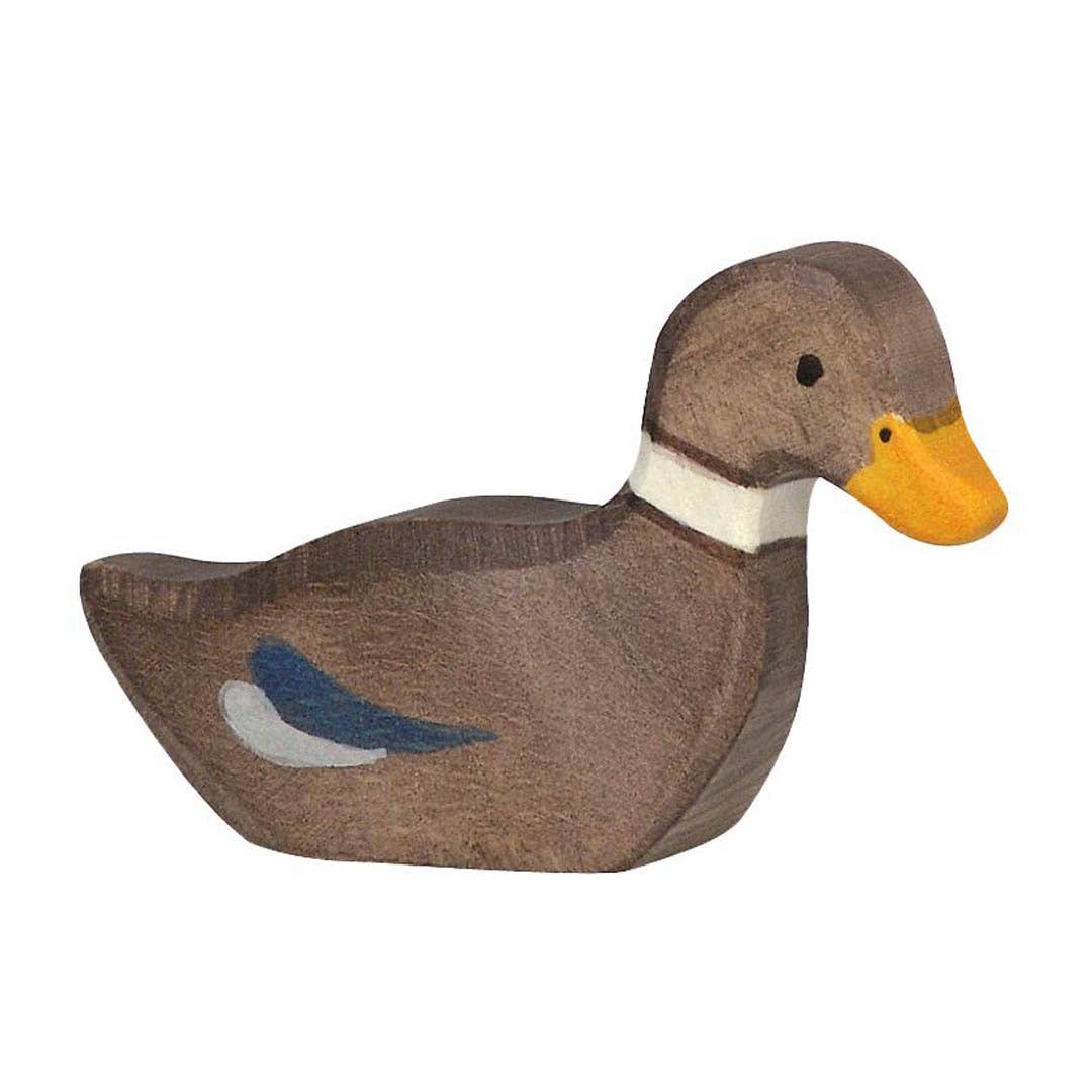 Duck, sitting