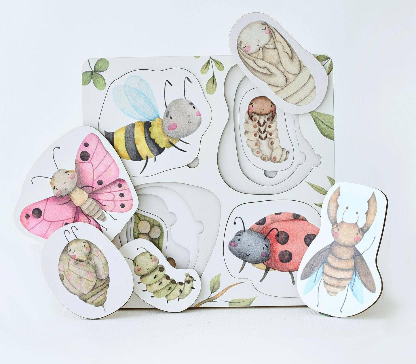 Insects' Life Cycle Wooden Puzzle