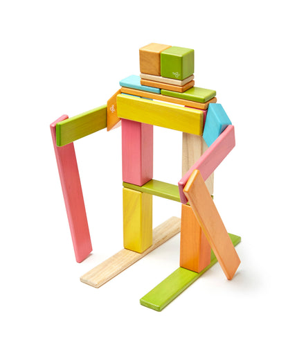 24 Piece Magnetic Wooden Block Set