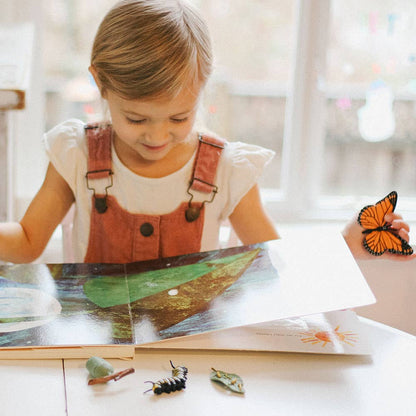 Life Cycle Of A Monarch Butterfly – Pear + Pei