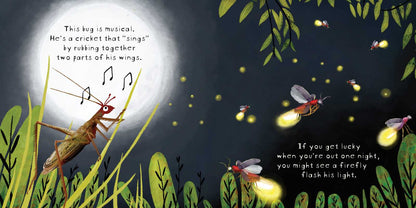 Look! Bugs! by Stephanie Calmenson