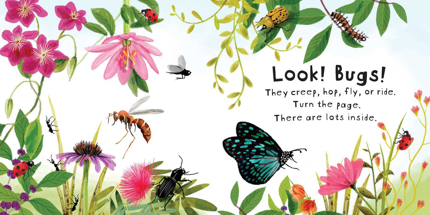 Look! Bugs! by Stephanie Calmenson