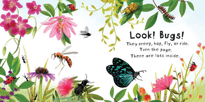 Look! Bugs! by Stephanie Calmenson