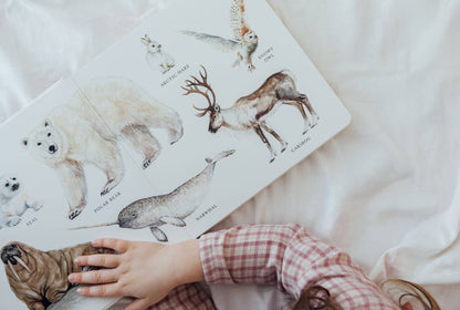 Our Big Book of Animals (Board Book)