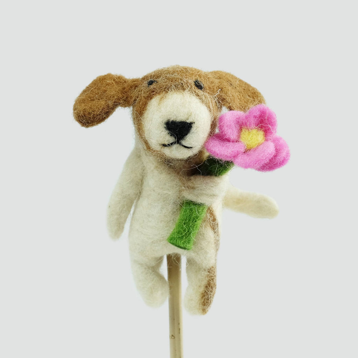Finger Puppets - Cats and Dogs Assorted