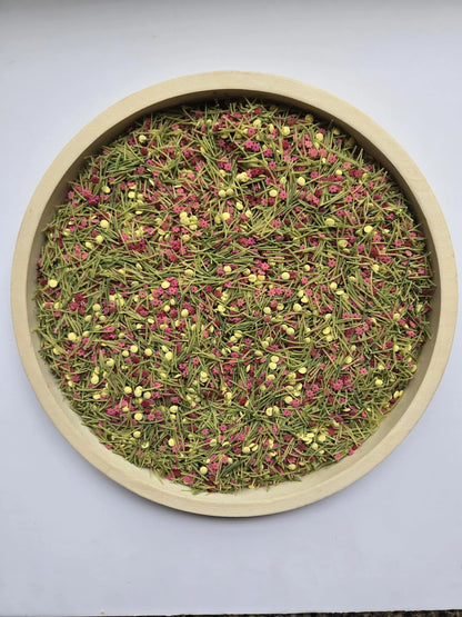 Sensory Bin Filler - Spring Yard